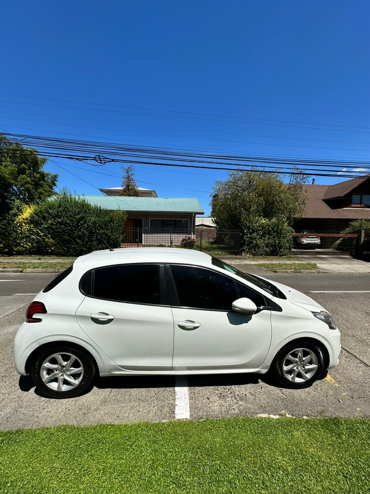 WhatsApp Image 2026-02-12 at 18.49.25 (1)