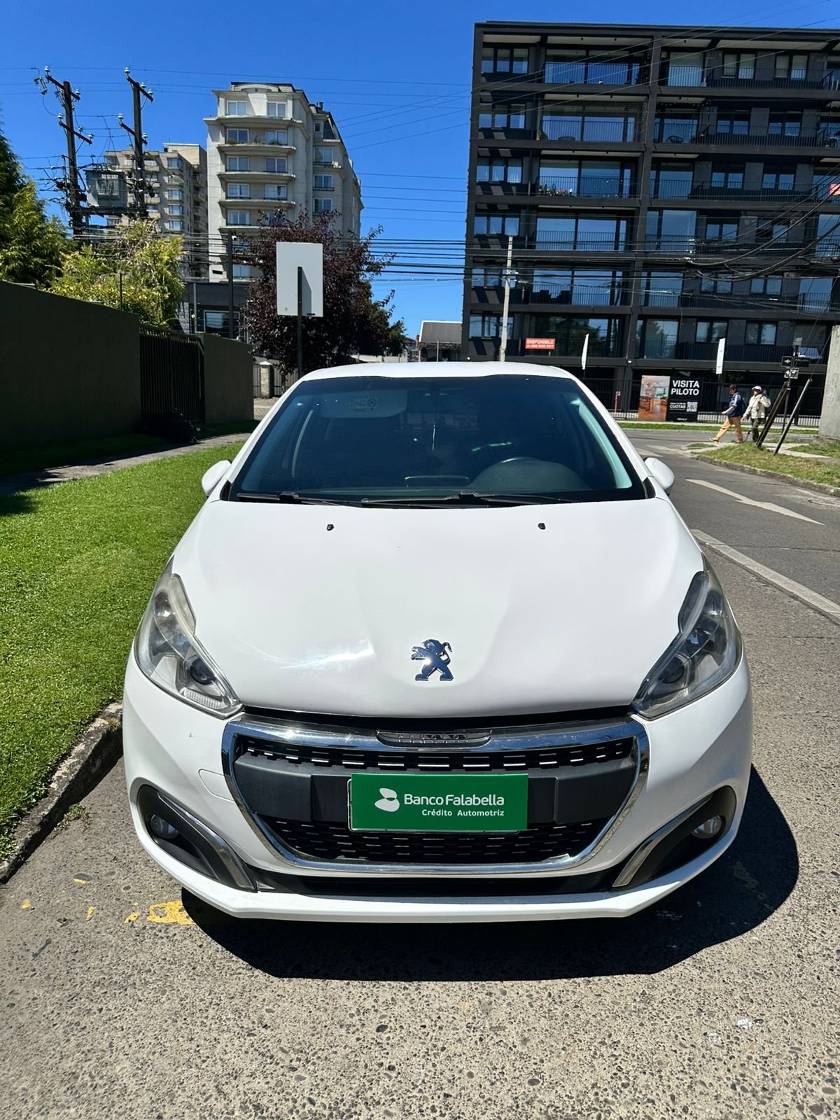 WhatsApp Image 2026-02-12 at 18.49.25 (3)