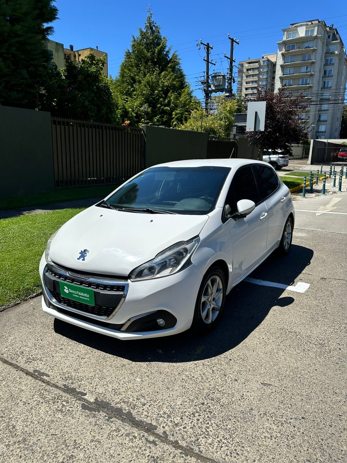 WhatsApp Image 2026-02-12 at 18.49.25