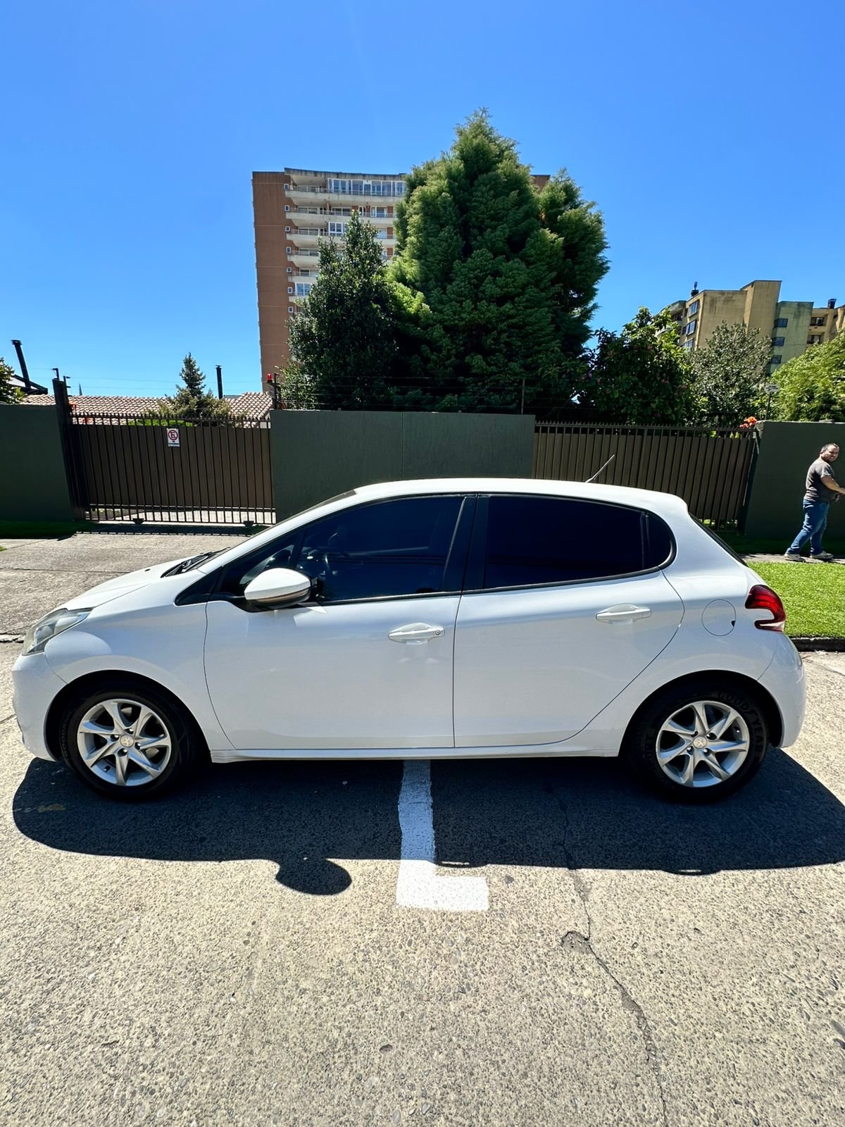 WhatsApp Image 2026-02-12 at 18.49.26 (2)