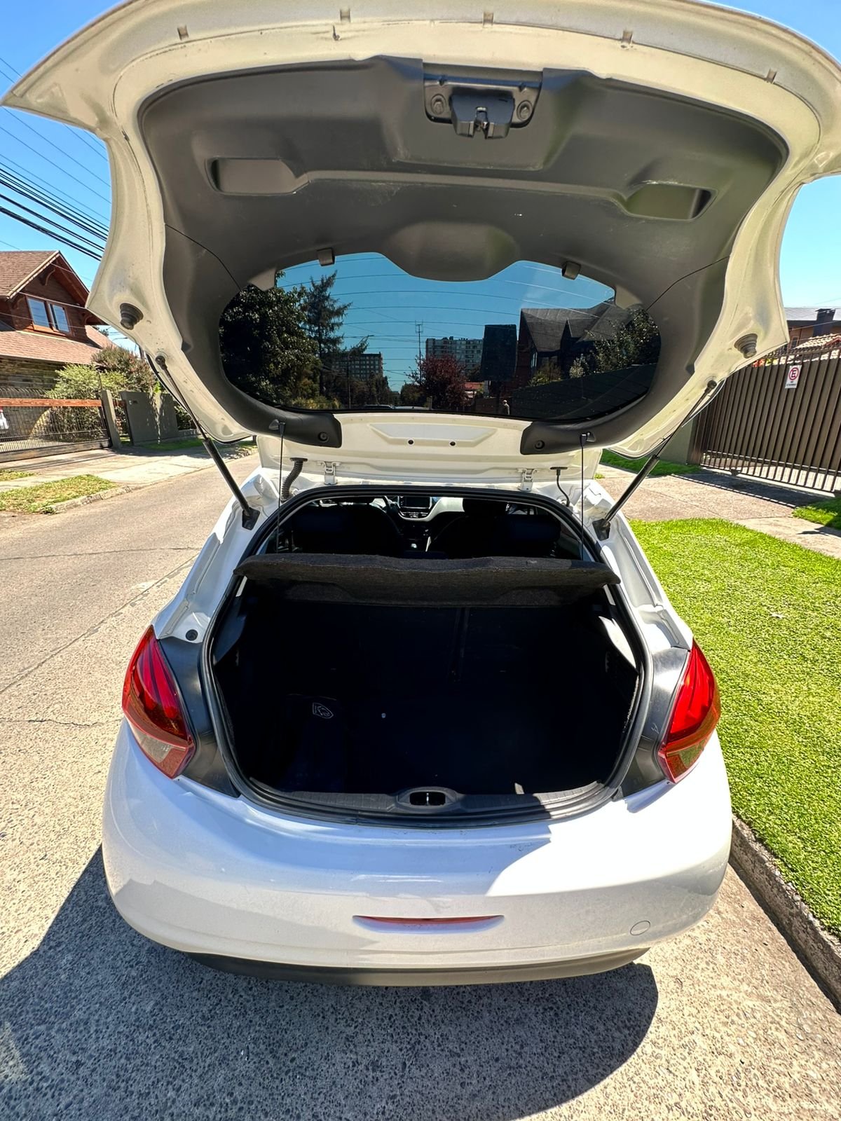 WhatsApp Image 2026-02-12 at 18.49.26 (4)