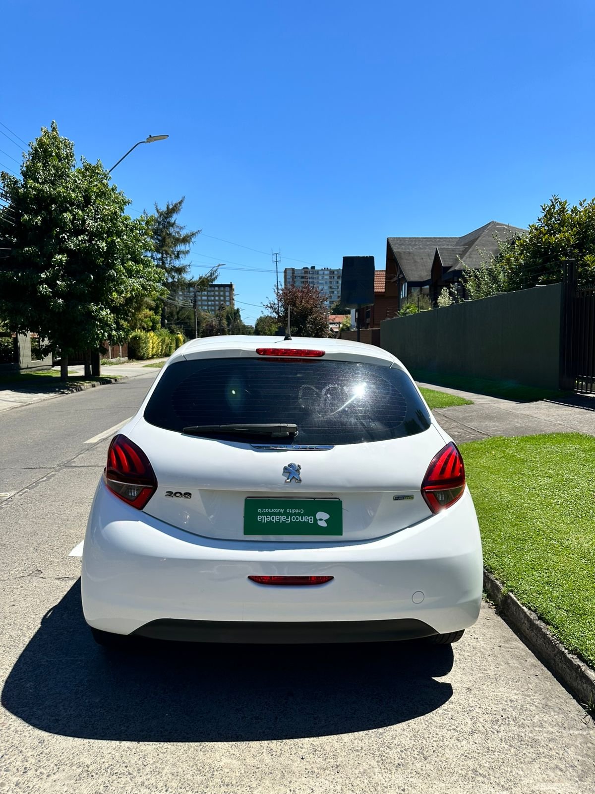 WhatsApp Image 2026-02-12 at 18.49.26